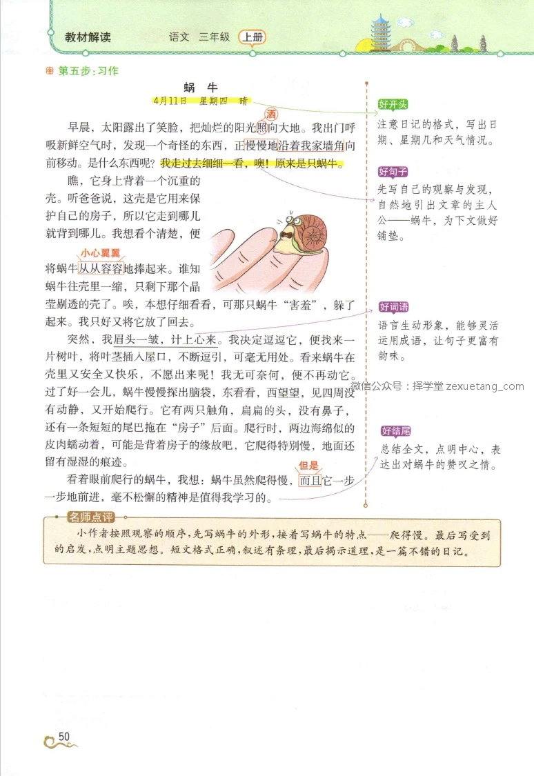 篮球运动员一周的力量训练计划是什么_1